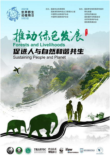 道法文旅专题，探索文化与自然和谐共生之道