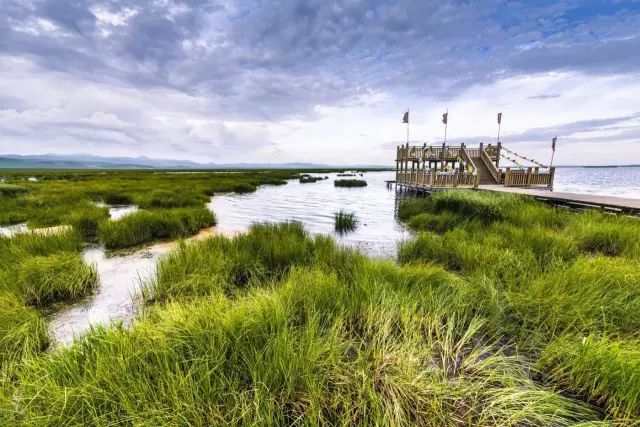 世界湿地宣传精彩瞬间，不容错过的生态美图展示