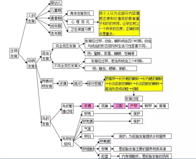海洋知识图谱构建核心要素揭秘，专题海图要素全解析