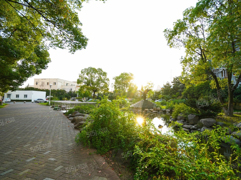 苏州今日家园房价最新动态概览