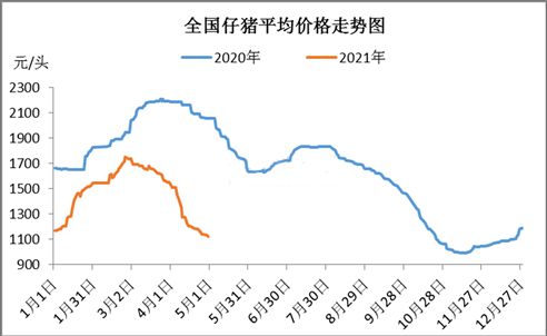 小猪最新价格走势及分析今日播报