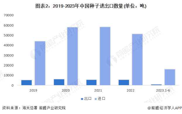 全球种子出口大国排名揭秘，农业贸易霸主地位及影响力分析