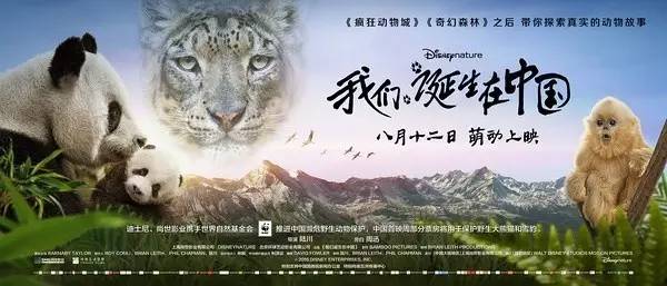 独家揭秘，关系终结背后的故事与重新出发的勇气