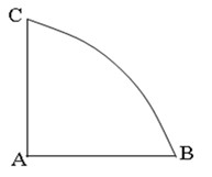 鼬柄图最新动态揭秘，演变历程与未来发展展望