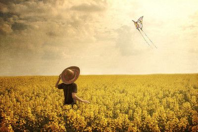 治愈心灵之旅，旅行语录中的励志力量