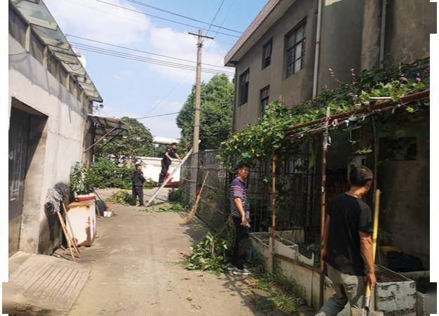 南充老庄新闻聚焦，地方发展动态与民生热点全解析