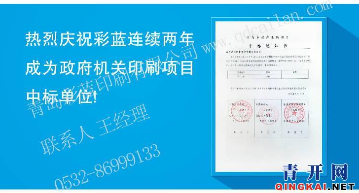 高效标书制作秘籍，专业品质，领先竞争力