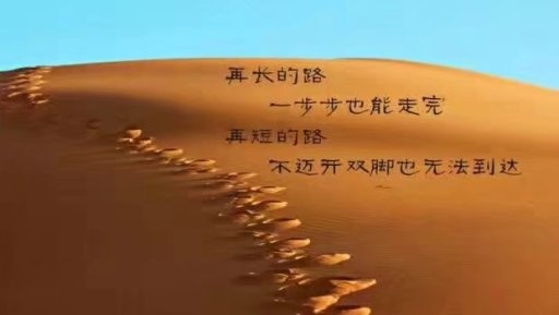 龙虎人生，励志语录与文案的激情碰撞