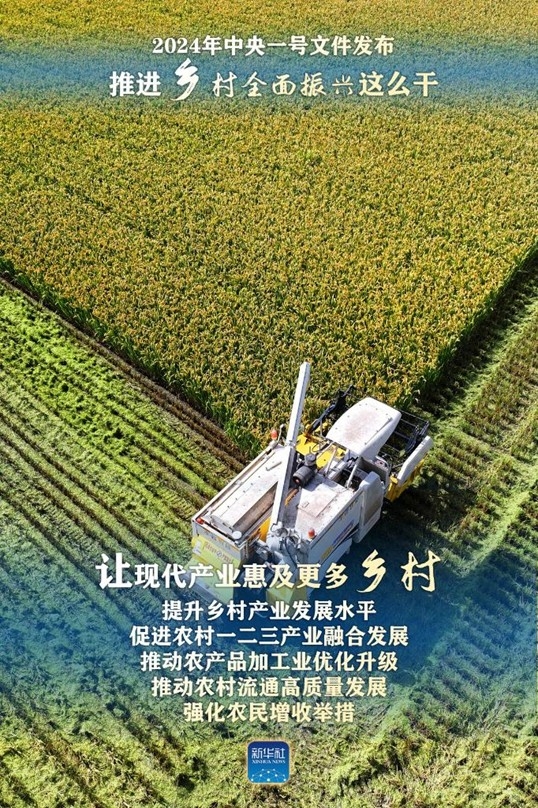 山田深耕细作，共筑乡村新篇章，振兴之路在行动