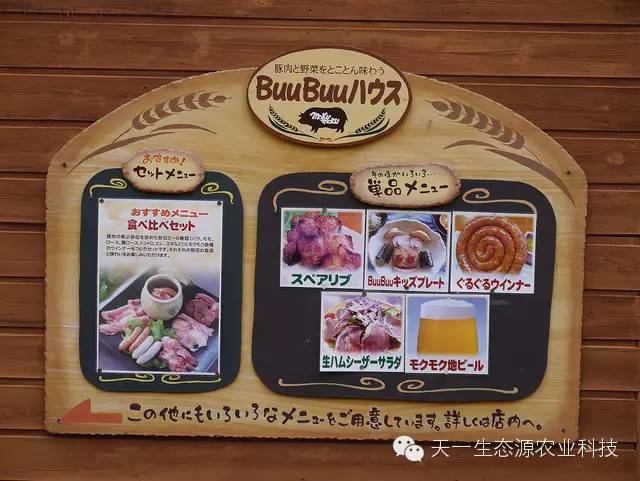 餐桌上的文化与责任，深度解读菜意思的深层内涵