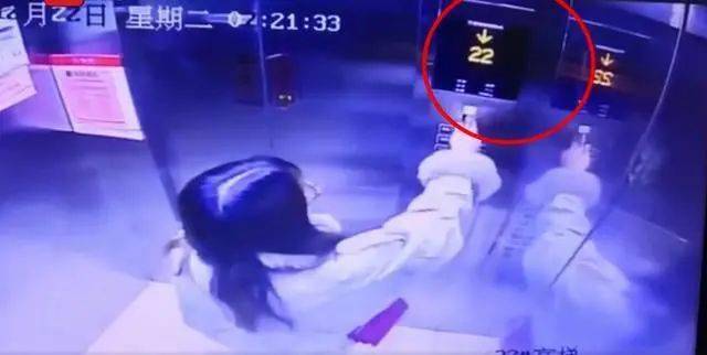 虫言鸟迹 第3页