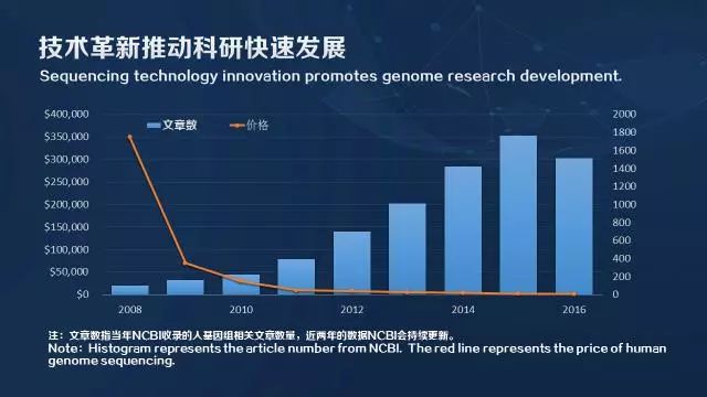 联盟停航计划攻略深度解析
