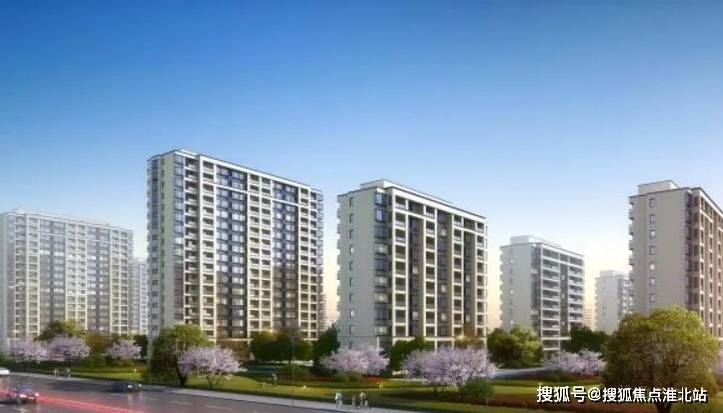 省道陈店路段最新动态更新