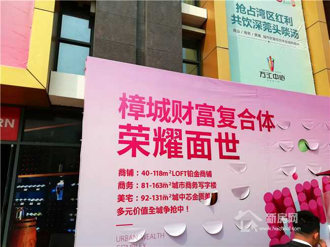 揭秘宣传单背后的深层意义与价值，不为人知的秘密！