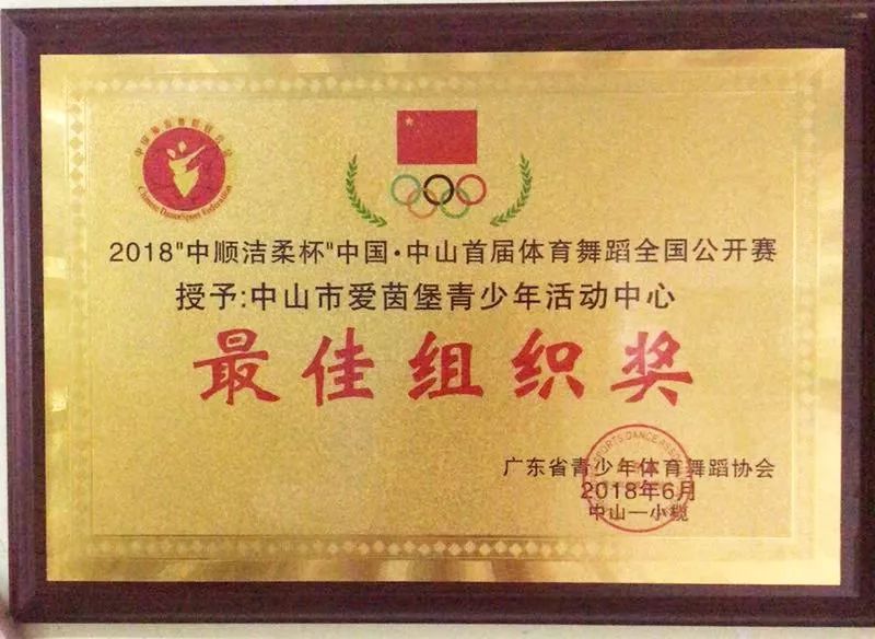 飞燕化龙 第3页