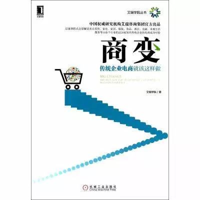 电子商务模式规范书籍，构建稳健电商基石之道
