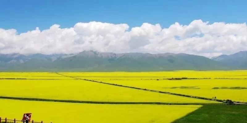 河谷农业专题，探索河谷地区的农业潜力与面临的挑战