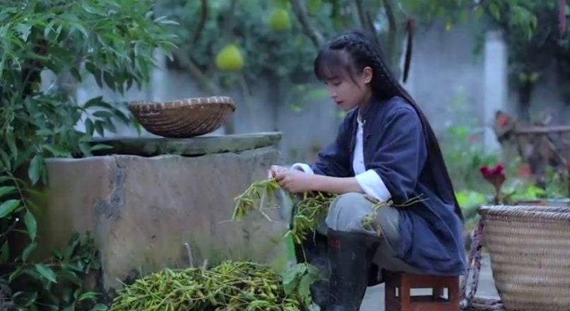 涌泉不息的生命力