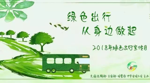 柳树苗，绿色生态的守护者宣传大使