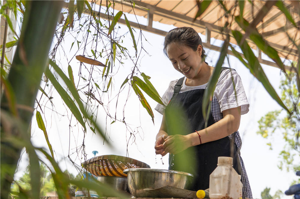 宜宾白花镇新面貌揭秘，发展动态与新闻头条一网打尽