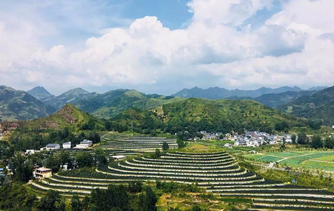 南京古都外交新动态，展现开放新姿态