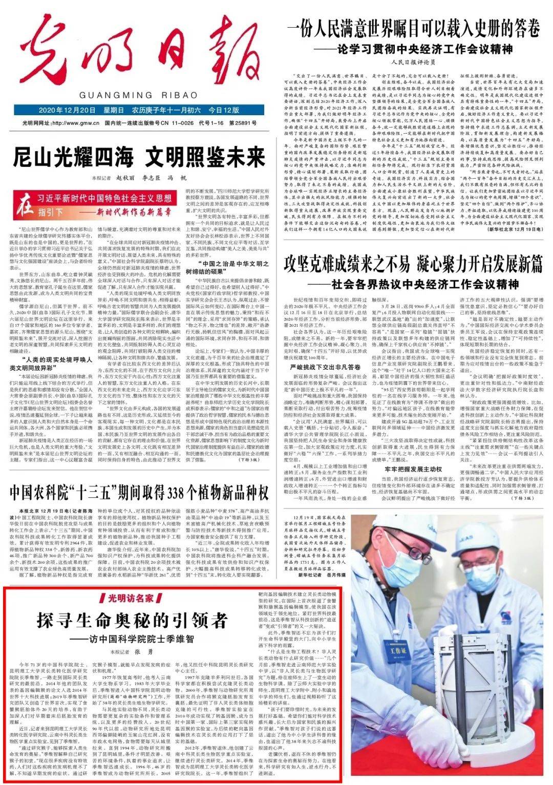 探索石头背后的故事与奥秘，积石头条新闻独家报道