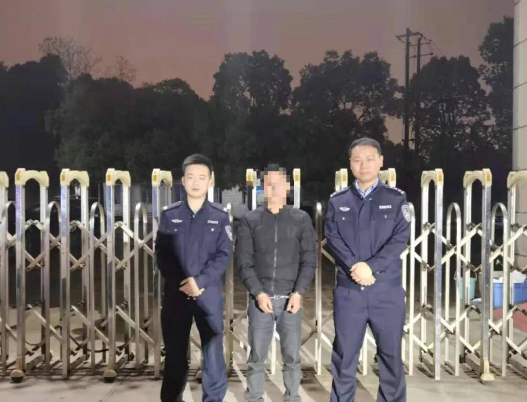 东园大桥最新动态，今日消息一网打尽！