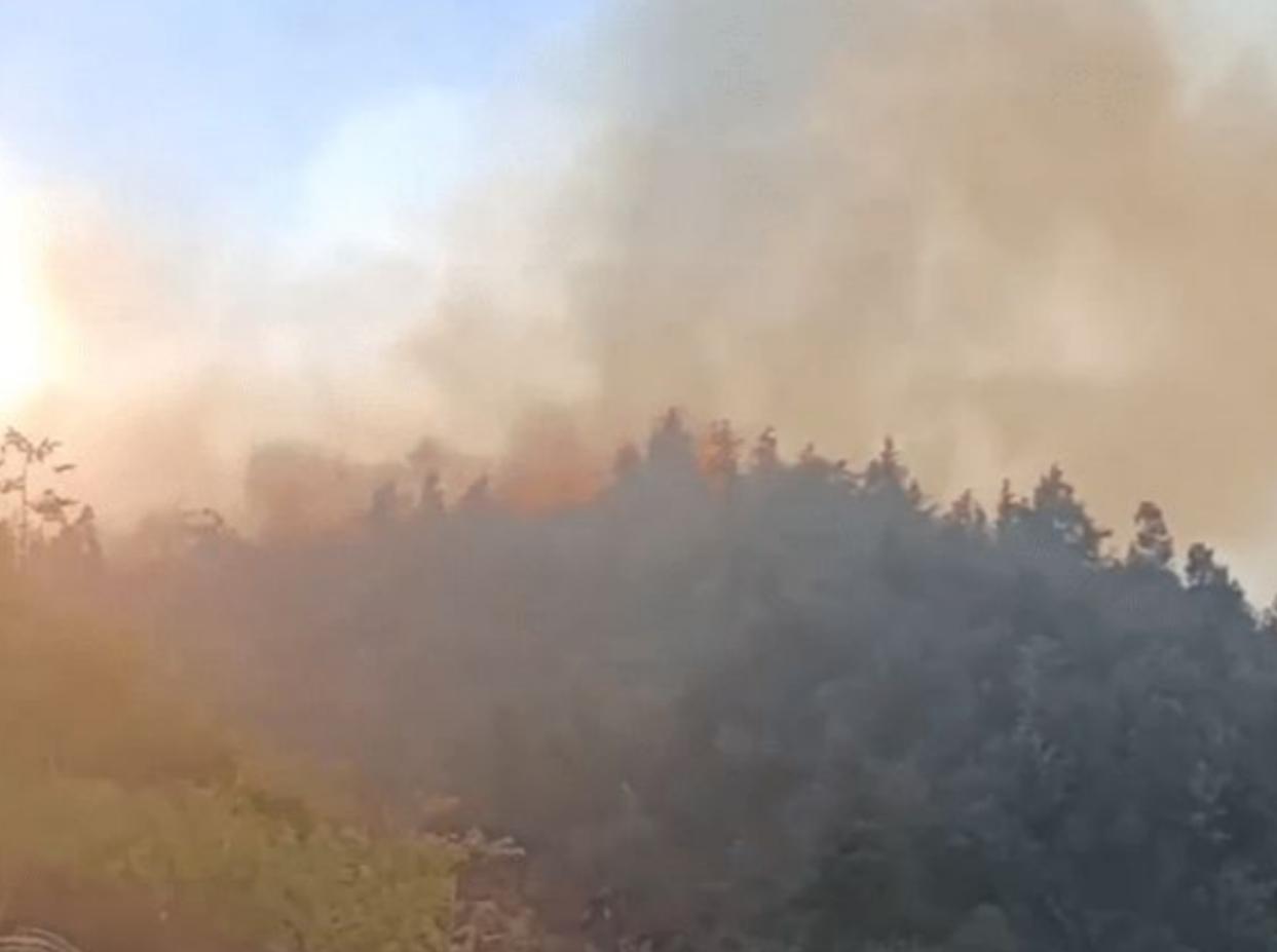 巴南山火最新实时动态，今日情况更新报道