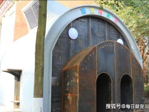 复旦大学宣传片揭秘历史与未来的交汇奇迹——探寻时光长廊的印记