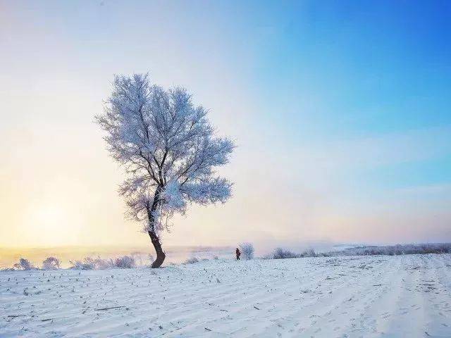 春分雪纷飞，自然韵律与季节之美的交响曲