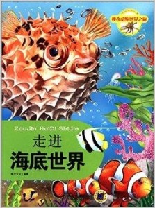 扯不断的紫菜，海洋馈赠与文化连结的奇妙之旅