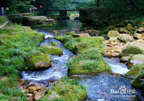 冷泉小鱼探秘，绝美旅行指南，百度带你畅游！