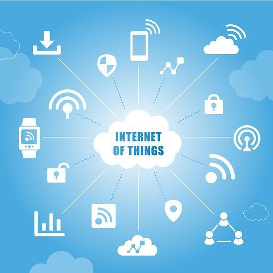 2025年6月4日 第5页