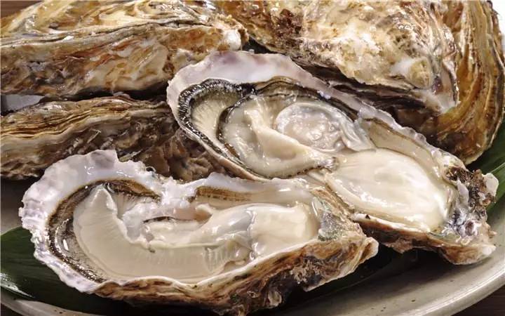丹麦牡蛎盛宴与独特风情之旅