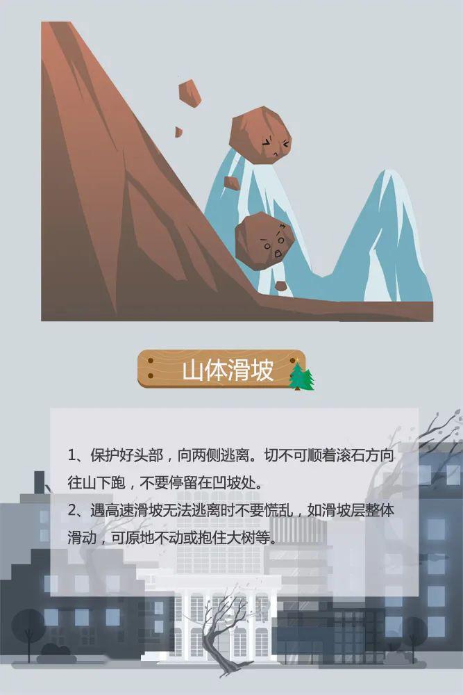 2025年6月5日 第5页