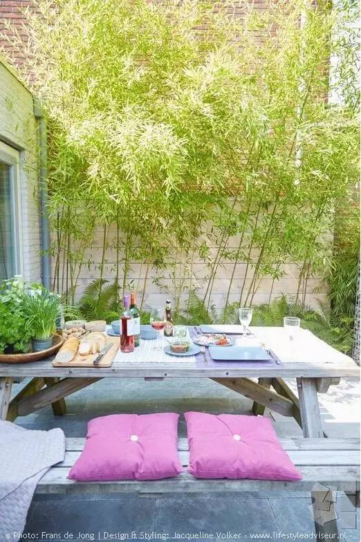 独家小院探秘，私密空间的独特魅力视频