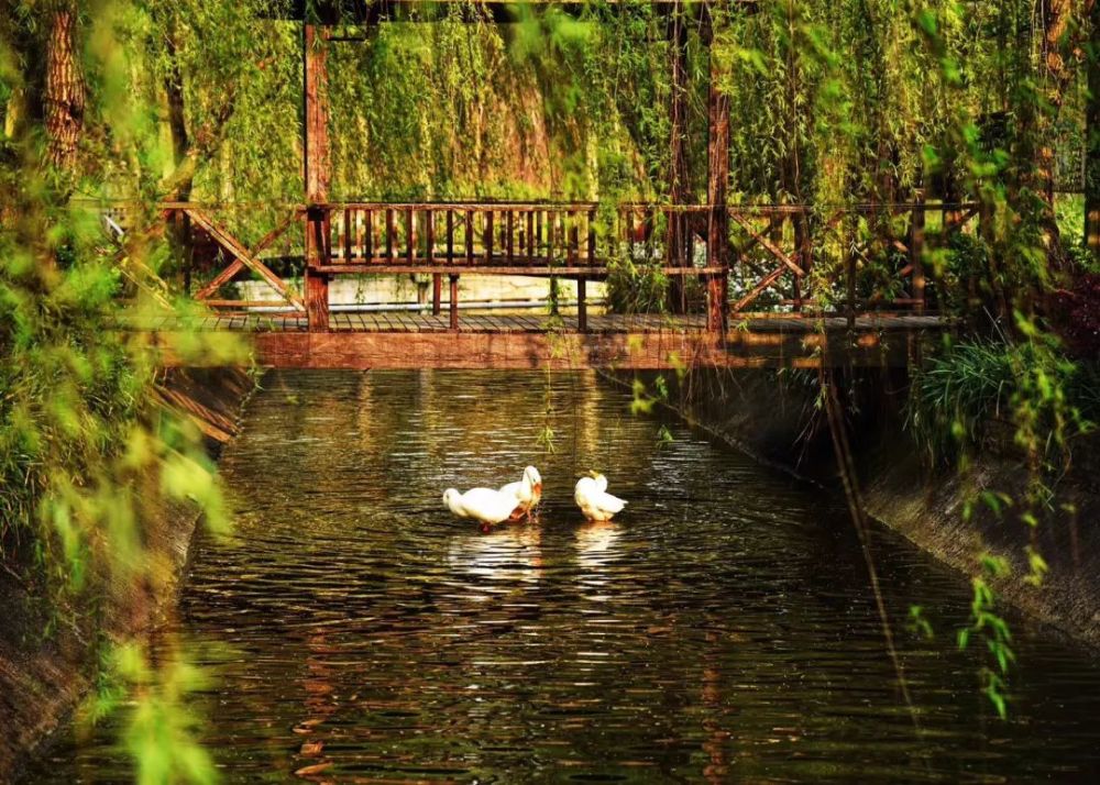 宝丰龙山探秘,绝美景点、精彩攻略一网打尽!