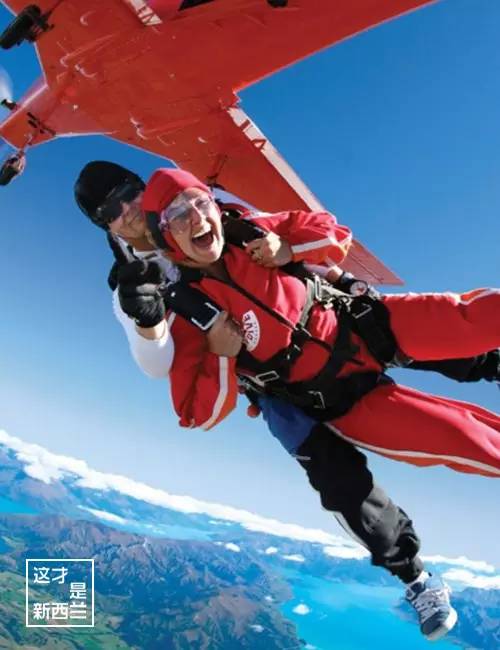 新西兰最新动态与热门话题速递