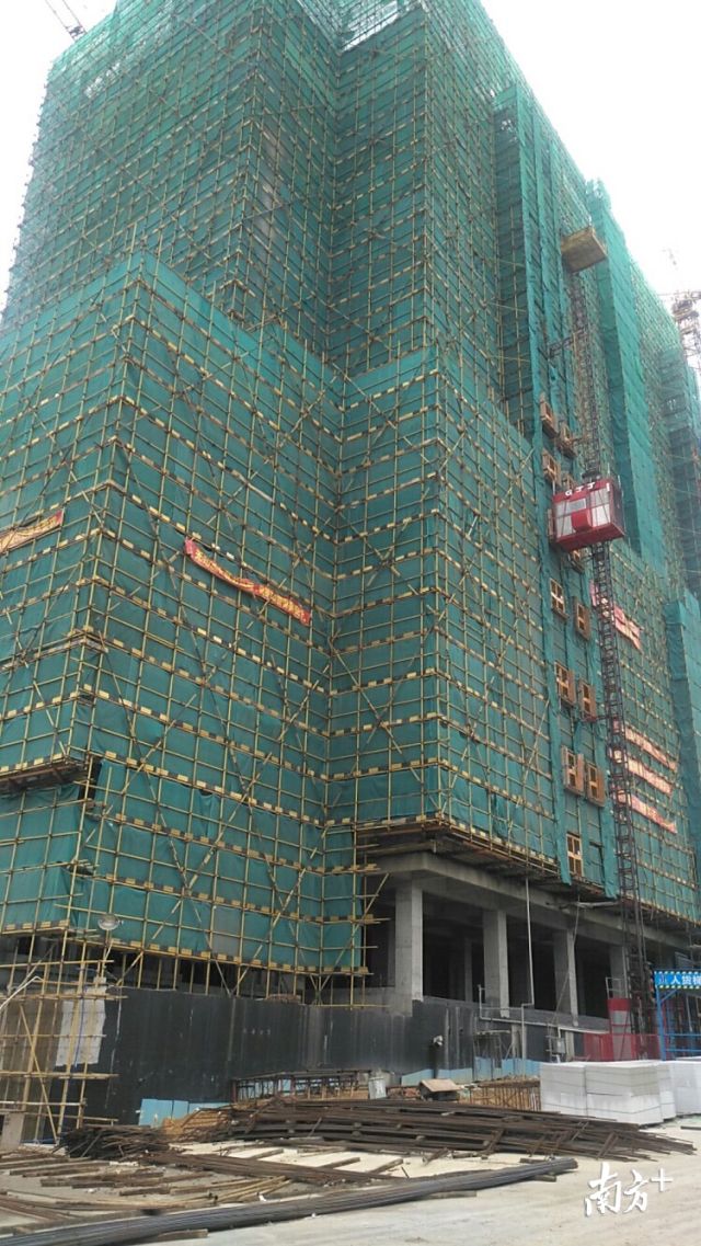 英德新闻聚焦，东华镇发展迅猛，最新动态头条报道