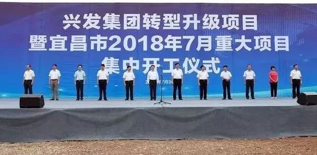 今日中标公告揭秘，成功背后的故事重磅揭晓