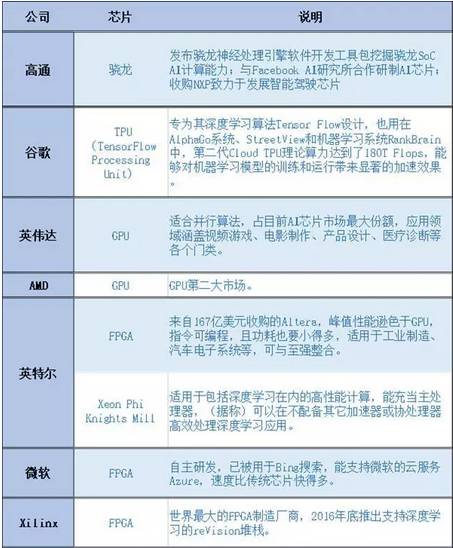 左枕后部突发异常的深度探究