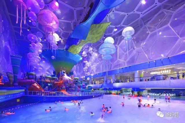 豪华私人泳池TOP10榜单，品质与奢华完美融合的水上乐园！