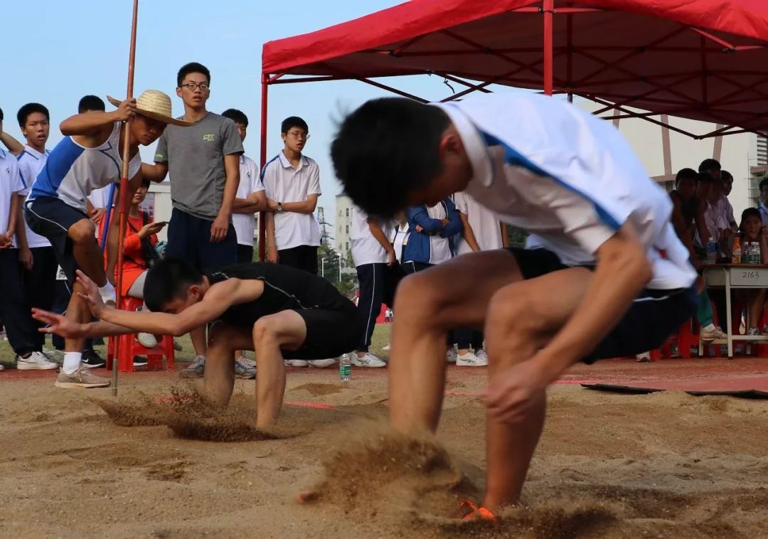 女声励志语录，朗读文案的力量与激情燃烧的梦想