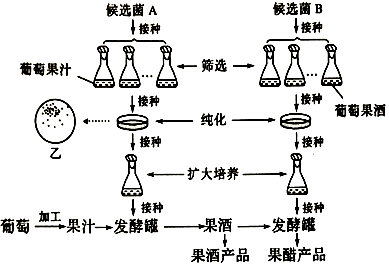 灭菌技术的中低高效，原理、应用与理解