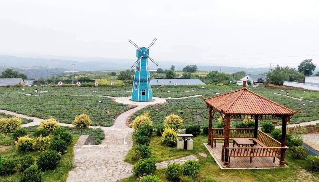 宜良河口新闻聚焦，引领地方发展的最新动态