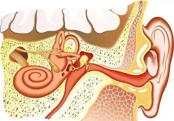 口腔鼻腔粘液困扰揭秘,成因解析与应对良方
