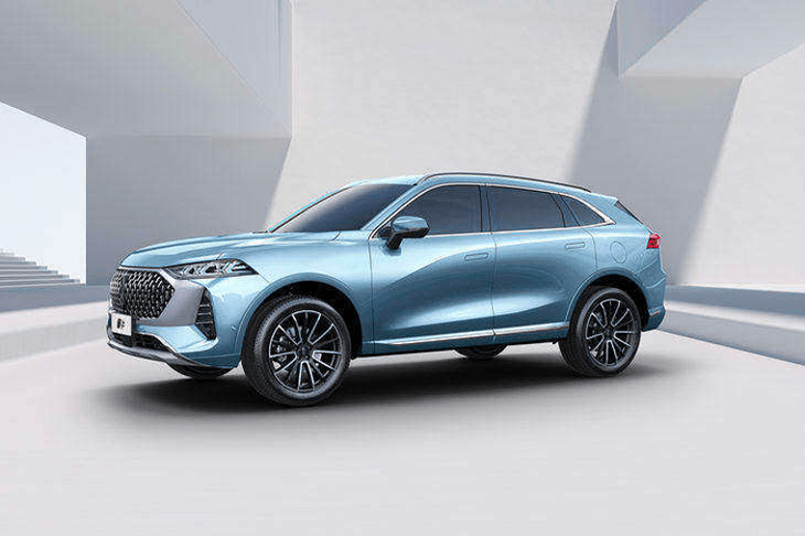 北安大豆行情更新，今日最新价格一网打尽