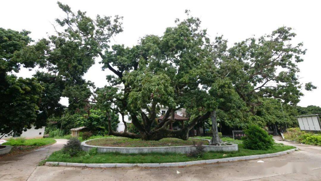 博物馆青春独家，穿越时空的文化探秘之旅