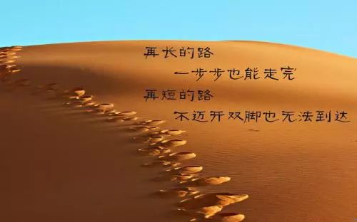 励志语录与冷知识碰撞，激发无限潜能的秘诀