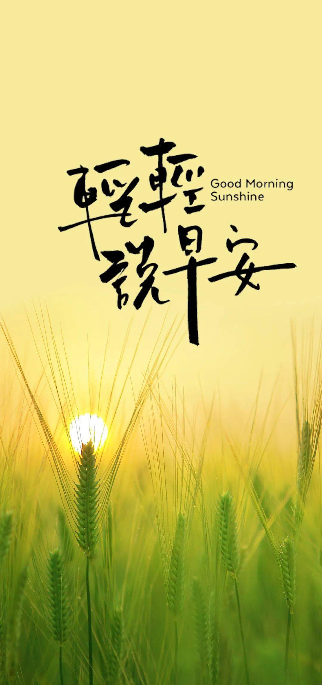 反美励志短句激励人心，励志语录大全